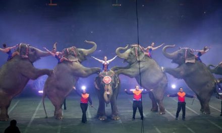 Pertunjukan Hiburan Sirkus Yang Ada Sejak Dulu