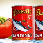 Makanan Sarden Merupakan Olahraga Ikan Kecil Laut