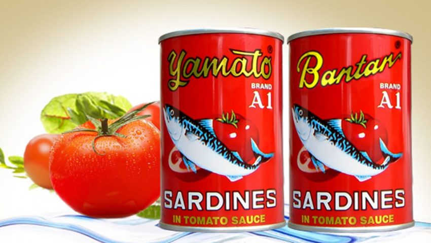 Makanan Sarden Merupakan Olahraga Ikan Kecil Laut