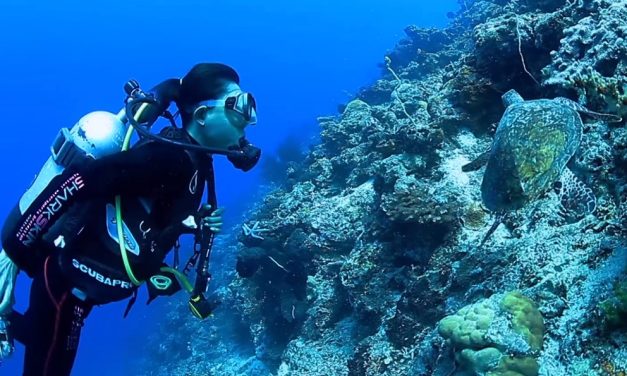 Kegiatan Penyelam Yang Dapat Melihat Indahnya Lautan
