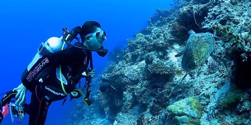 Kegiatan Penyelam Yang Dapat Melihat Indahnya Lautan