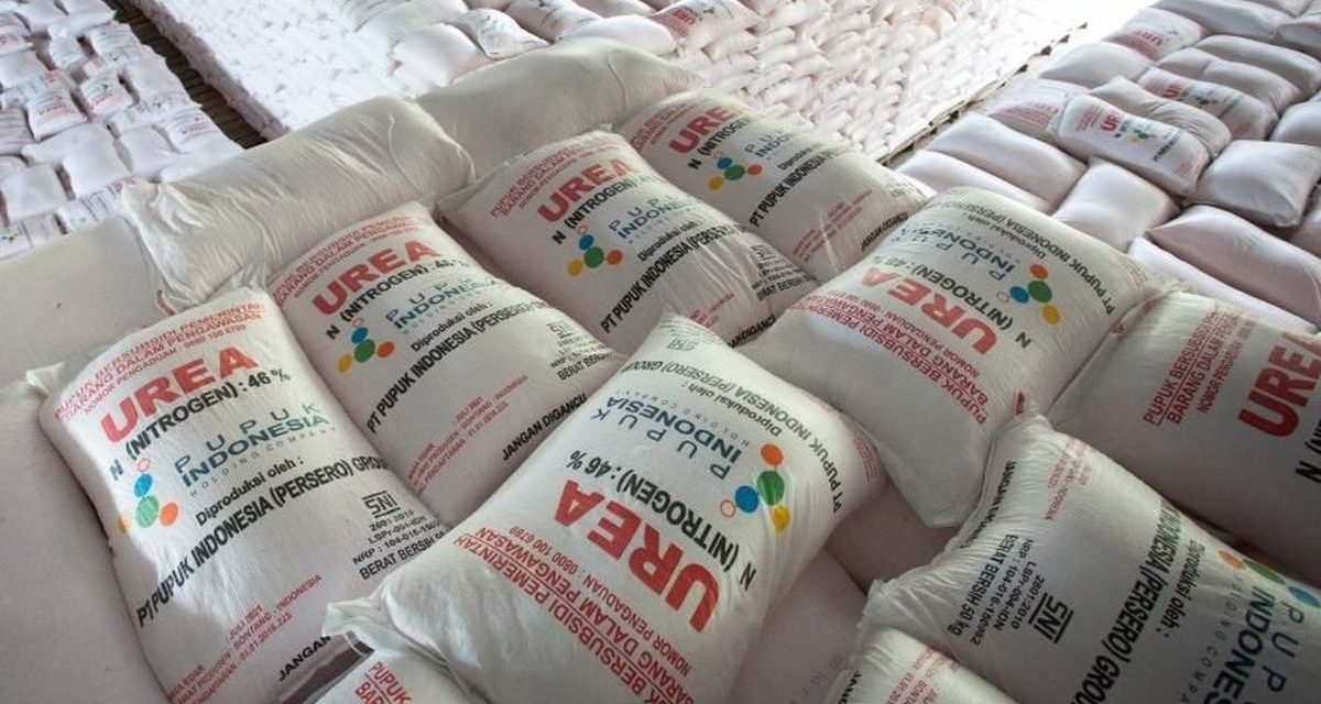 Kandungan Pertumbuhan Tanaman Melalui Campuran Pupuk
