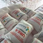 Kandungan Pertumbuhan Tanaman Melalui Campuran Pupuk