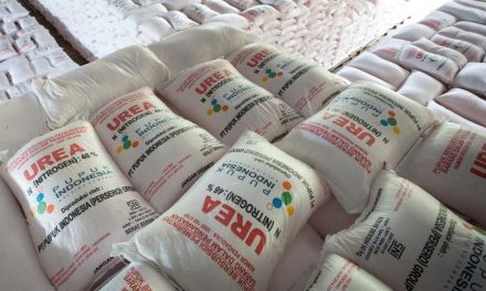 Kandungan Pertumbuhan Tanaman Melalui Campuran Pupuk