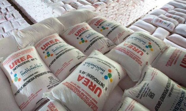 Kandungan Pertumbuhan Tanaman Melalui Campuran Pupuk