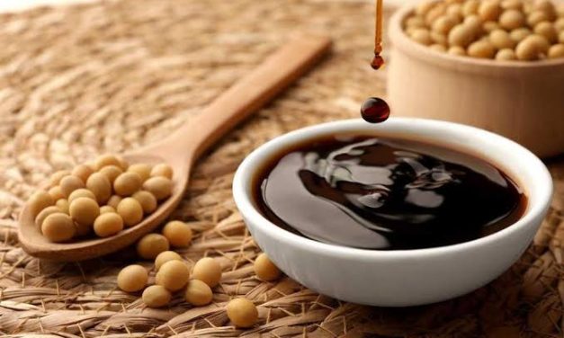 Bumbu Cair Kecap Dengan Proses Fermentasi Kedelai