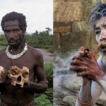Pemakan Manusia Kanibal Yang Cukup Membahayakan