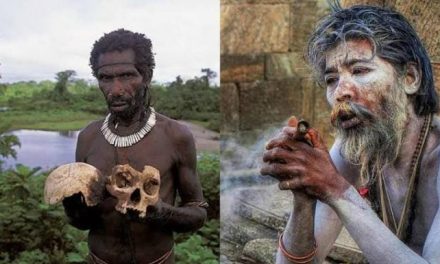Pemakan Manusia Kanibal Yang Cukup Membahayakan