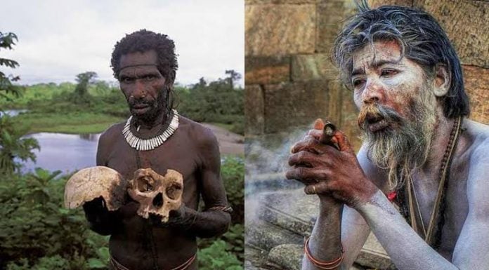 Pemakan Manusia Kanibal Yang Cukup Membahayakan