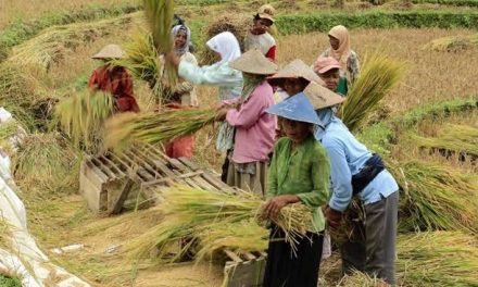 Mata Pencaharian Petani Memiliki Beberapa Manfaat