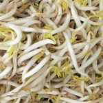 Sayuran Kecil Tauge Dengan Banyak Cara Pengolahan