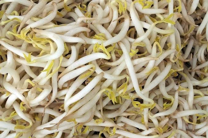 Sayuran Kecil Tauge Dengan Banyak Cara Pengolahan
