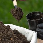 Sebuah Bahan Pupuk Untuk Penanaman Tumbuhan