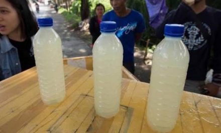 Bahan Fermentasi Tuak Yang Menjadi Minuman Memabukkan