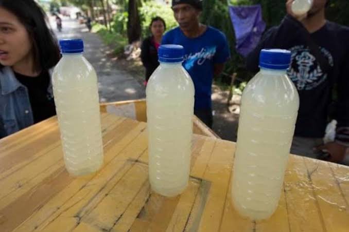 Bahan Fermentasi Tuak Yang Menjadi Minuman Memabukkan