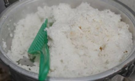 Makanan Pokok Nasi Berasal Dari Sebuah Beras