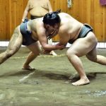 Olahraga Tradisional Gulat Sumo Dari Jepang