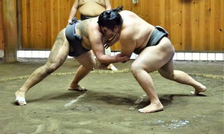 Olahraga Tradisional Gulat Sumo Dari Jepang